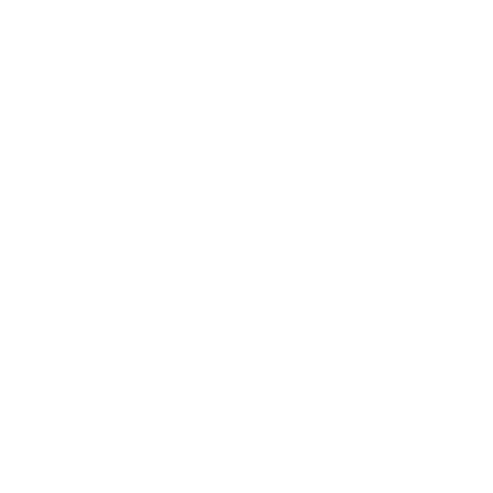 NSE_Cartuchos_JG_Larga_Distancia